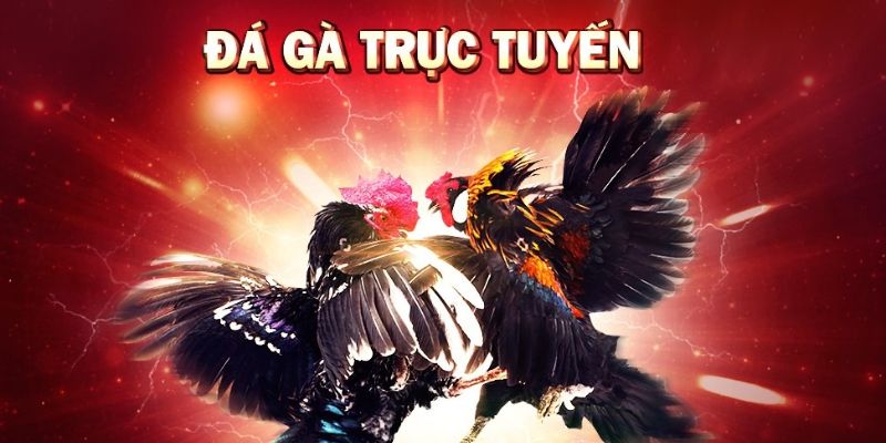 Nên chọn FM88 để chơi
