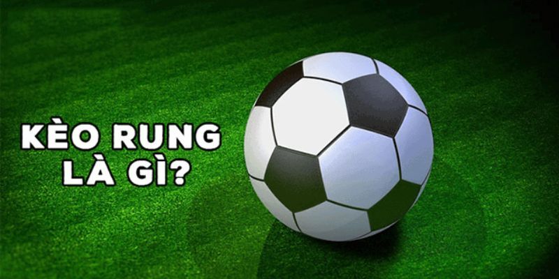 Tổng quan kèo rung là gì
